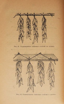 Новиков-Головатый М.А. Руководство по табаководству. М.: Новая деревня, 1926.